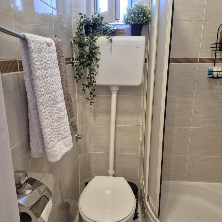 Jenny's apartmen centar - Apartman sa 1 Spavaćom Sobom - 33