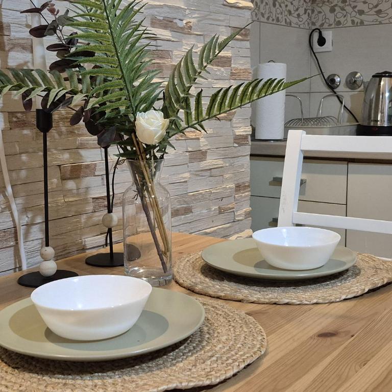 Jenny's apartmen centar - Apartman sa 1 Spavaćom Sobom - 22