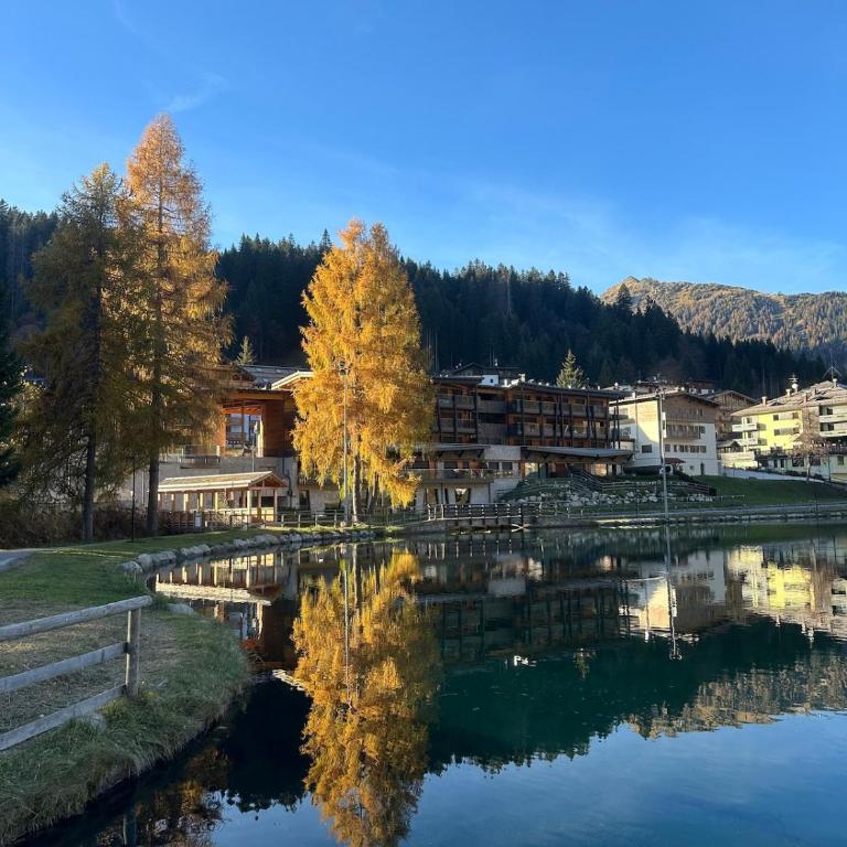 Dimaro Apartment - Your Mountain Experience - Appartamento con 1 Camera da Letto - 21