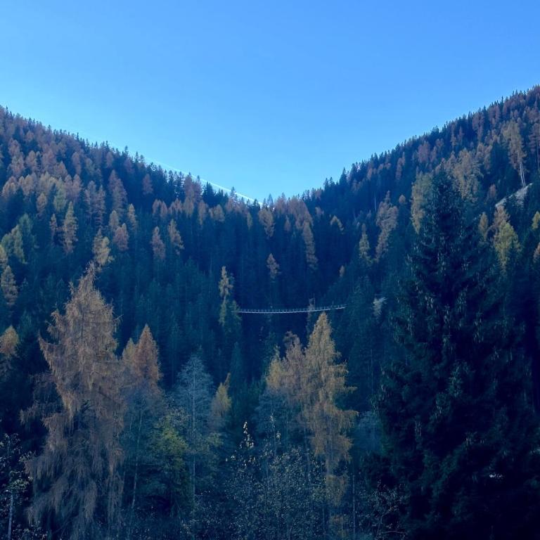 Dimaro Apartment - Your Mountain Experience - Appartamento con 1 Camera da Letto - 22