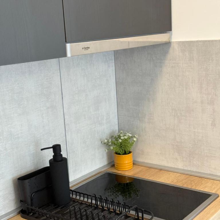 Kovan Lux 11 Sokobanja - Apartman sa 1 Spavaćom Sobom - 36