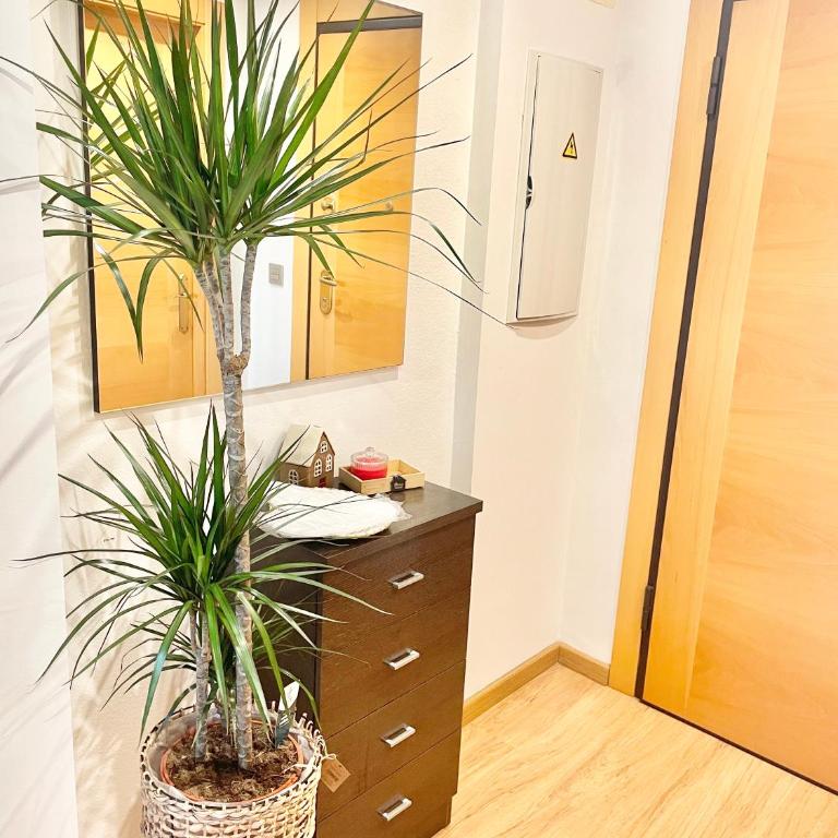 Gijón Playa San Lorenzo Parking incluido - Apartamento de 3 dormitorios - 45