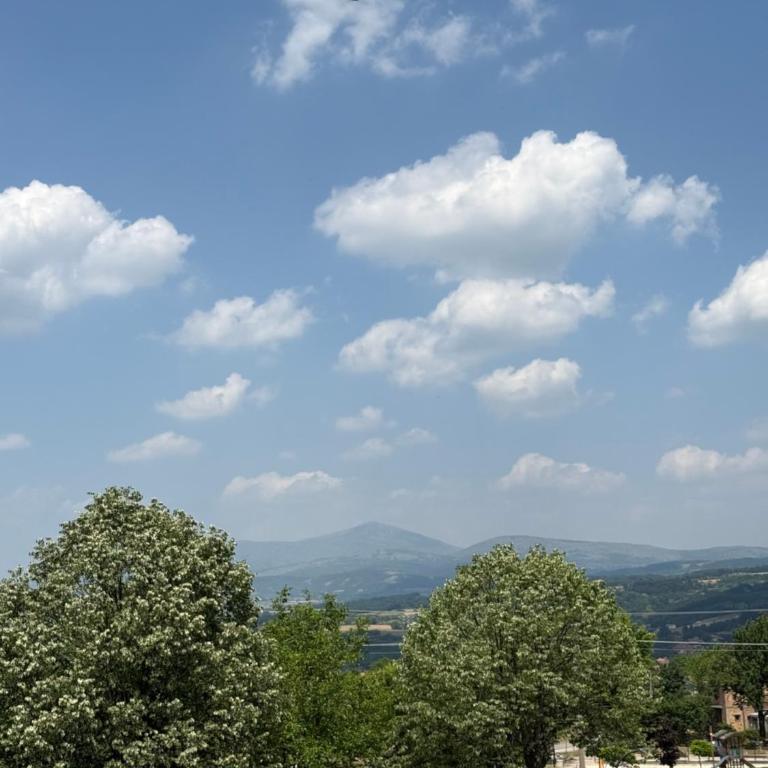 Kovan Lux 11 Sokobanja - Apartman sa 1 Spavaćom Sobom - 34