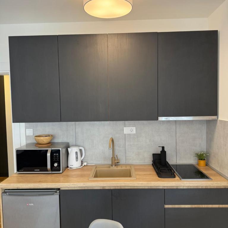 Kovan Lux 11 Sokobanja - Apartman sa 1 Spavaćom Sobom - 27