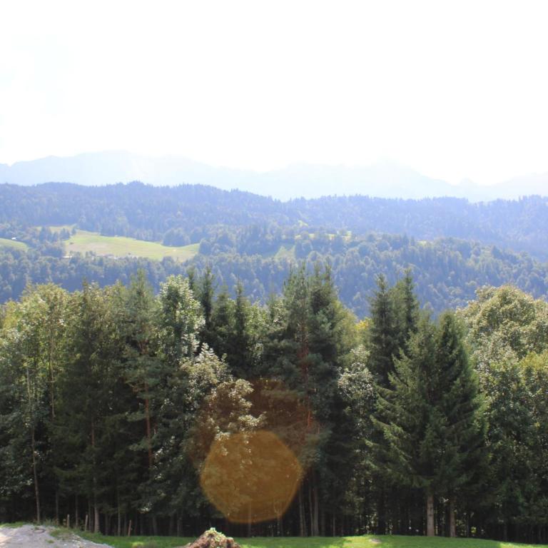 Pfeiffer Alm Garni mit Blick auf die Zugspitze - Doppelzimmer mit Bergblick - 4