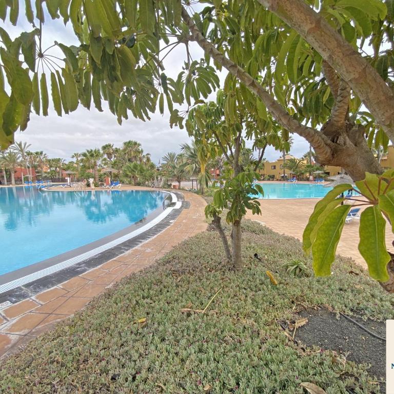 New Tamarindo La Ola - One-Bedroom Apartment - 59