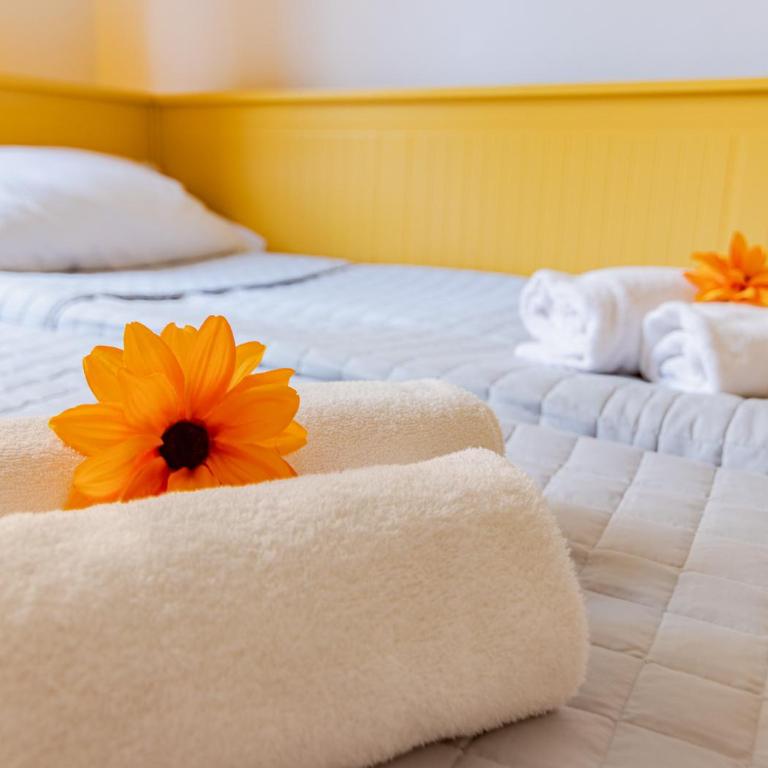 lnd 6- Free street parking, elevator - Appartamento con 3 Camere da Letto - 15