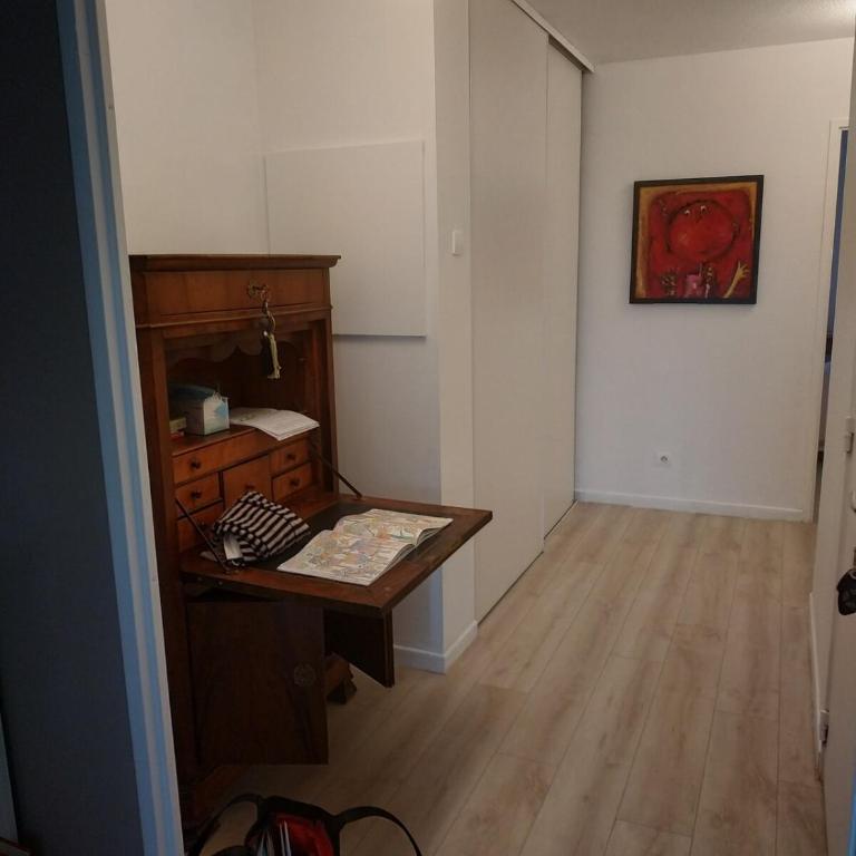 Bordeaux Grand appartement 2 terrasses calme parc ombrage parking prive - One-Bedroom Apartment - 7