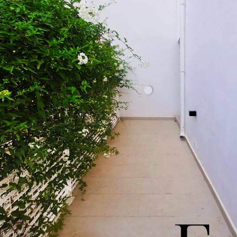 Eufonia - One-Bedroom House - 17