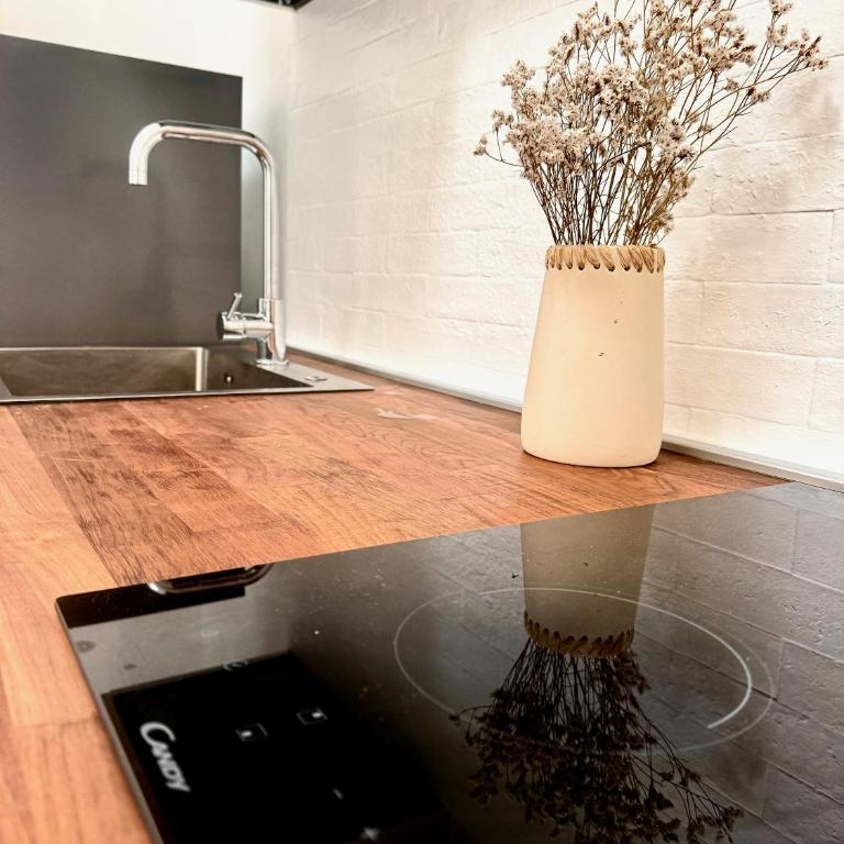 Eufonia - One-Bedroom House - 18