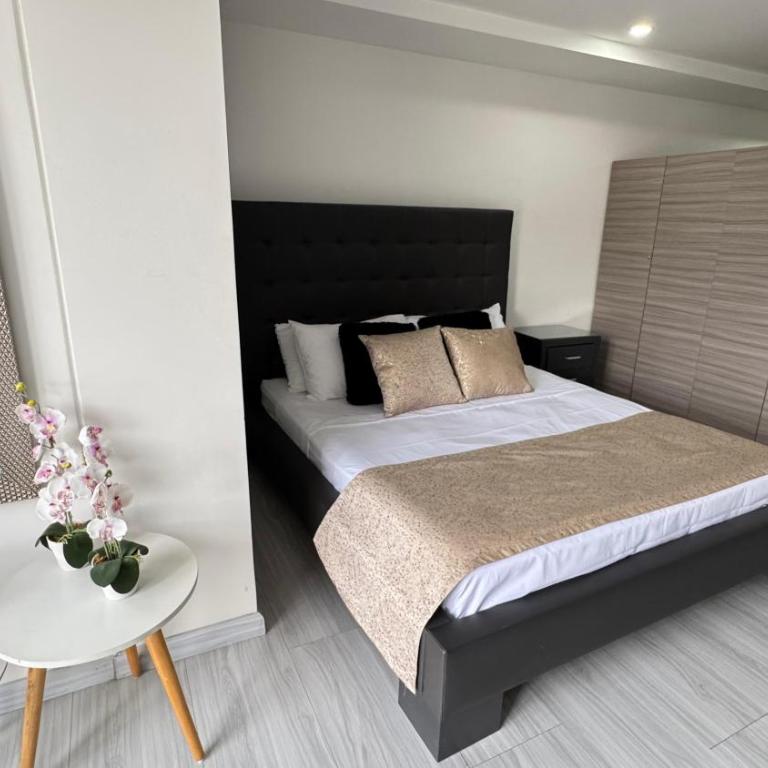 S 605-Apartaestudio tipo loft norte de Armenia - Apartamento de 1 dormitorio - 17