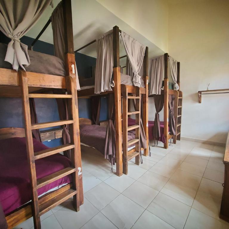 Casa Tequio - Bed in 6-Bed Mixed Dormitory Room - 13