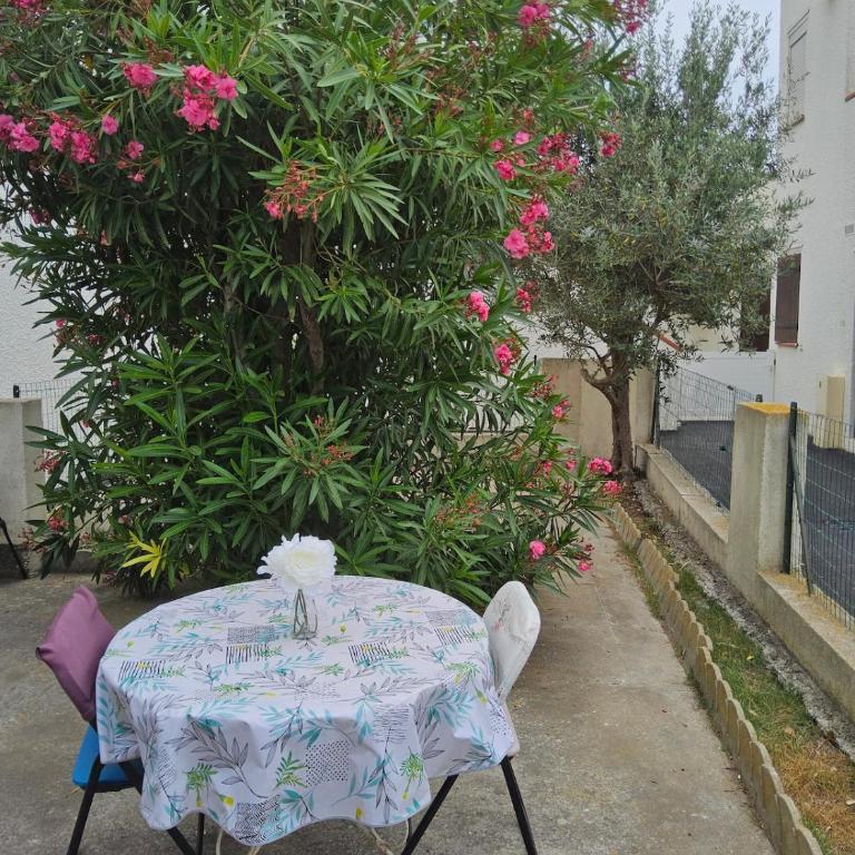 La MER du Cardinale, grande Terrasse clim 4 personnes - One-Bedroom Apartment - 7