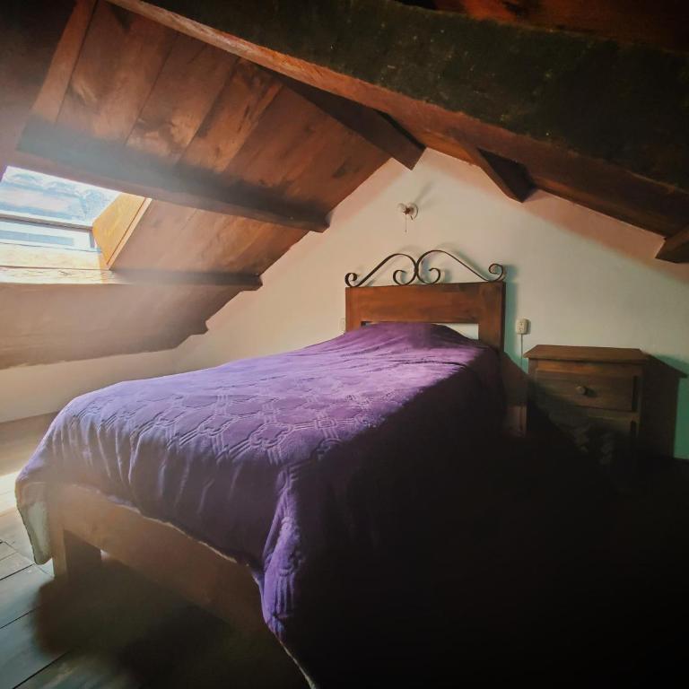 Casa Tequio - Quadruple Room with Garden View - 14