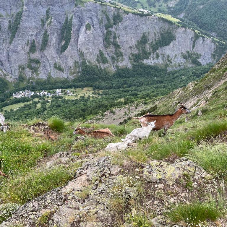 Superbe Appartement T2 - Alpe d'Huez Quartier ECLOSE - vue imprenable exposé SUD - Two-Bedroom Apartment - 42