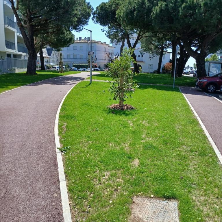 T3 avec Piscine, 150m de l'océan - Appartamento con 2 Camere da Letto - 4