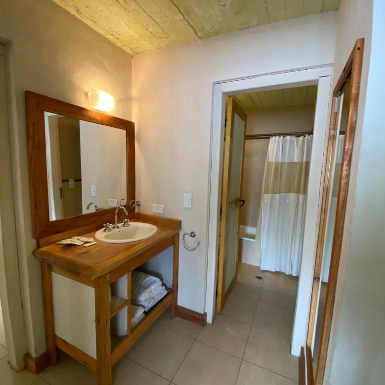 Lodge Copahue Expeditions - Apartamento Estándar de 2 dormitorios - 6