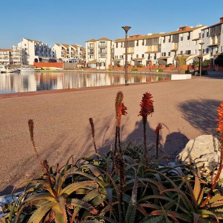 Au bord de l'eau mer, lac, et Canigou, climatisé, Classé 3 étoiles ! - Apartment mit 1 Schlafzimmer - 49