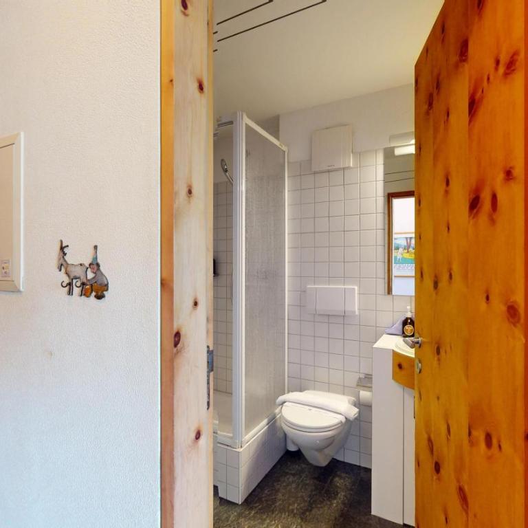 Flurina 45 - Penthouse-Apartment - 8