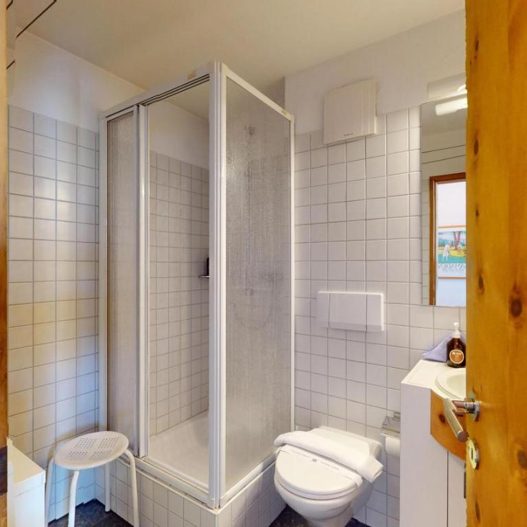 Flurina 45 - Penthouse-Apartment - 9
