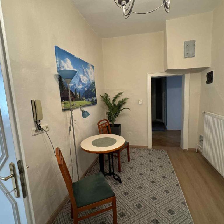 Park apartman Kertes ház Murau központjában gyönyörű kilátással Dog friendly garden house with a wonderful view in Murau centre - Suite 3 Chambres - 12