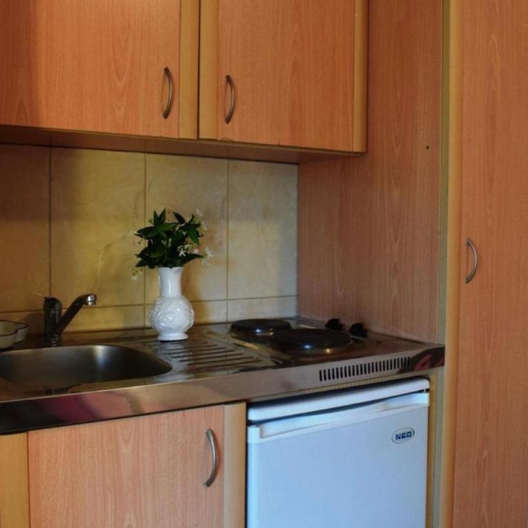 Bisha Apartments - Dvokrevetna Soba s Bračnim Krevetom s Pogledom na Vrt - 5
