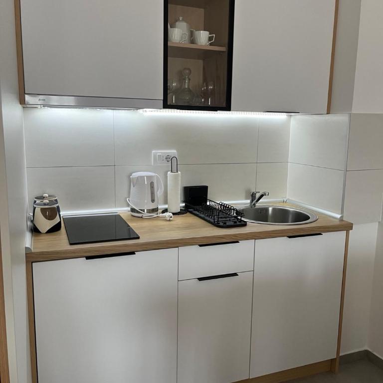 Apartman Elianna Spa & Weelness - One-Bedroom Apartment - 6