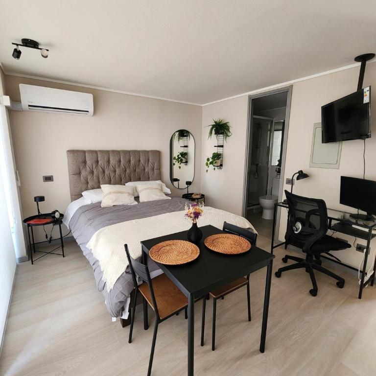 Studio in the heart of Santiago - One-Bedroom Apartment - 1