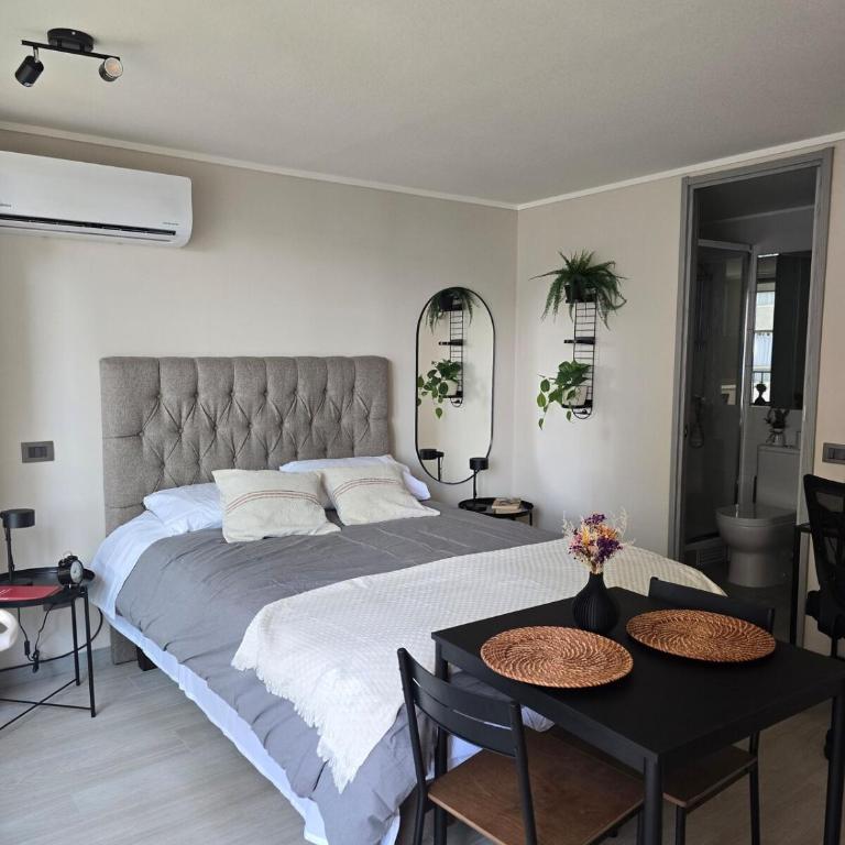 Studio in the heart of Santiago - One-Bedroom Apartment - 3