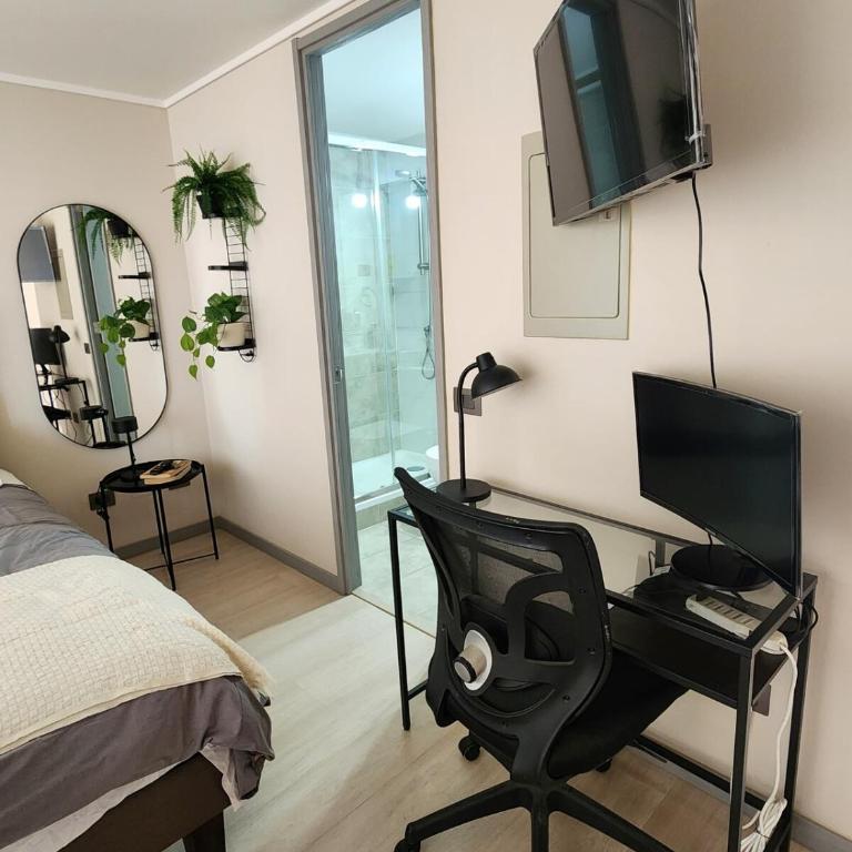 Studio in the heart of Santiago - One-Bedroom Apartment - 8