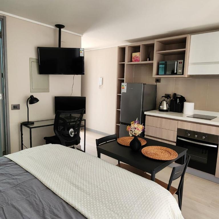 Studio in the heart of Santiago - One-Bedroom Apartment - 13