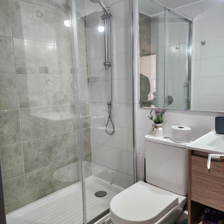 Studio in the heart of Santiago - One-Bedroom Apartment - 14