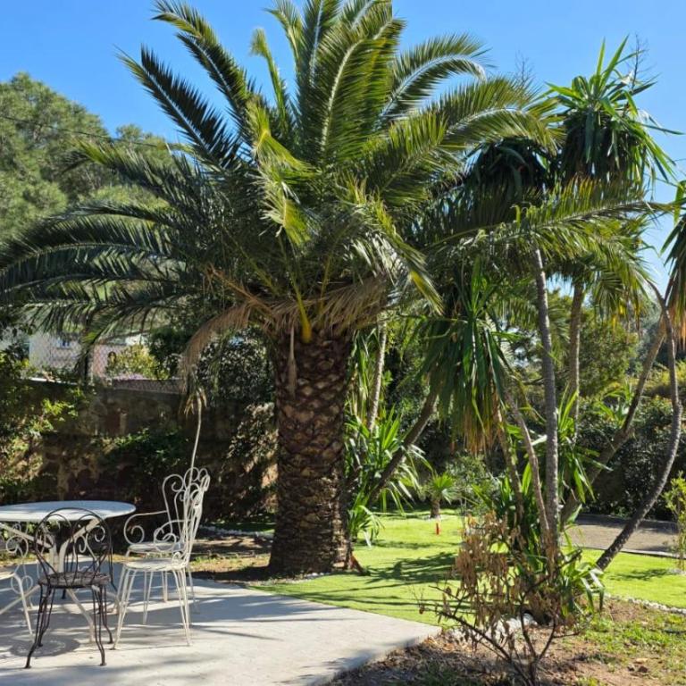 Vacances en Famille ou entre Amis - Villa - 7