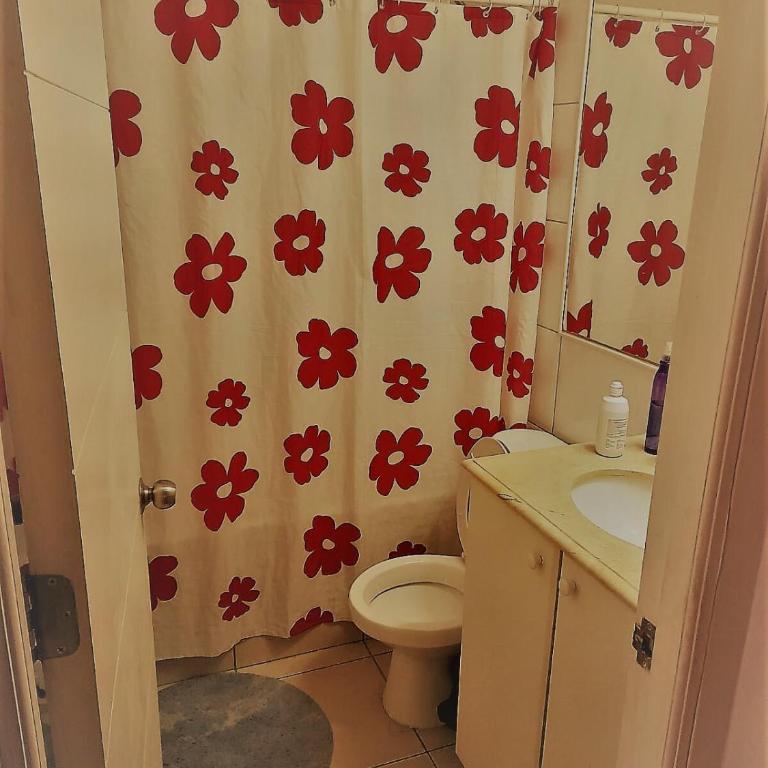 Santiago centro cerca de metros, full departamento - Apartamento de 1 dormitorio - 10