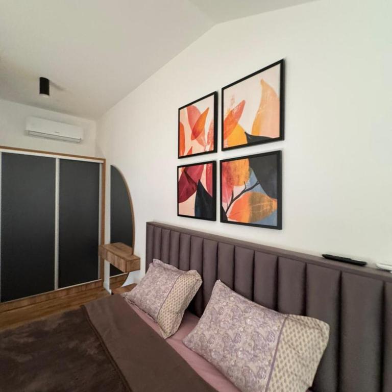 TARA & SPA apartment Kolasin - Apartman sa 2 Spavaće Sobe - 13