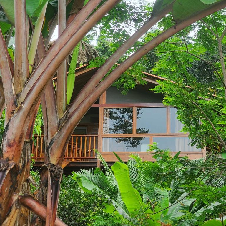 MAYU PATANPI Amazon Lodges - Family Bungalow - 11