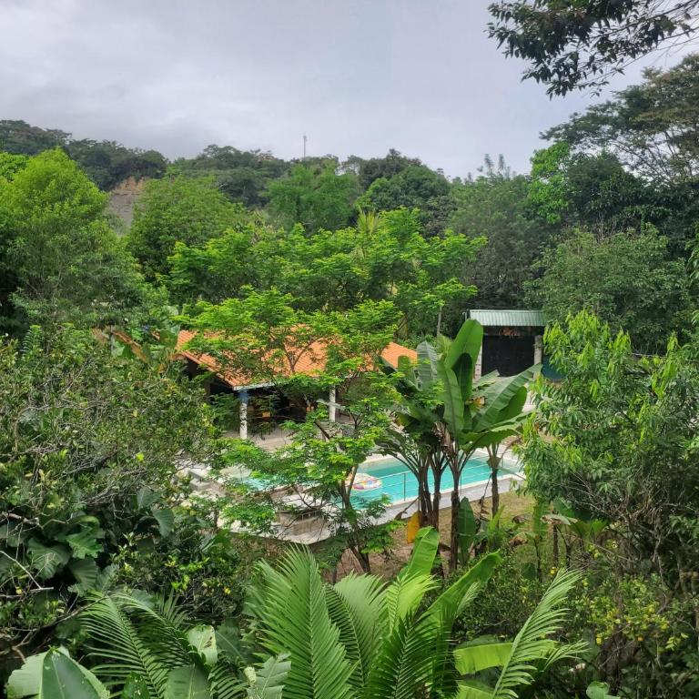 MAYU PATANPI Amazon Lodges - Family Bungalow - 12
