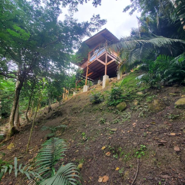 MAYU PATANPI Amazon Lodges - Family Bungalow - 13