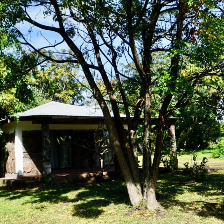 Tai Rapa Nui - Three-Bedroom House - 15