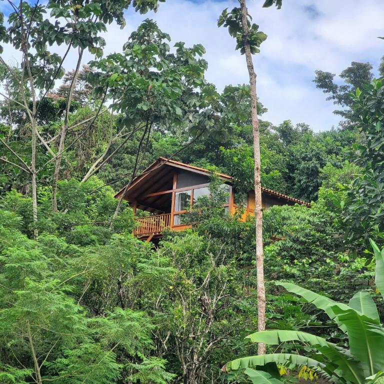 MAYU PATANPI Amazon Lodges - Deluxe Bungalow - 7