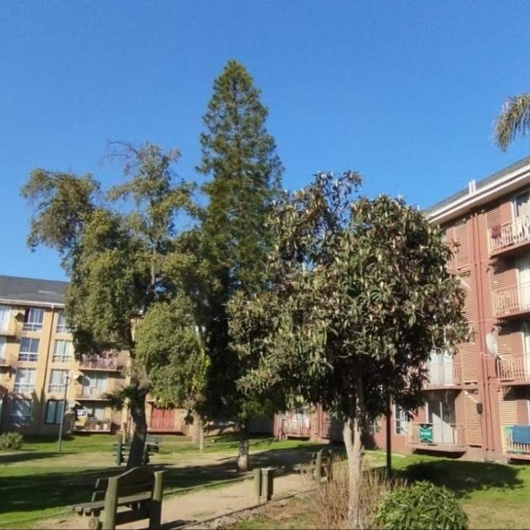 Departamento en Quillota - Two-Bedroom Apartment - 15