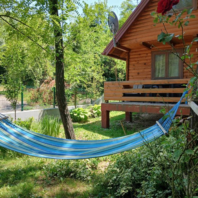 Pure Nature - One-Bedroom House - 16