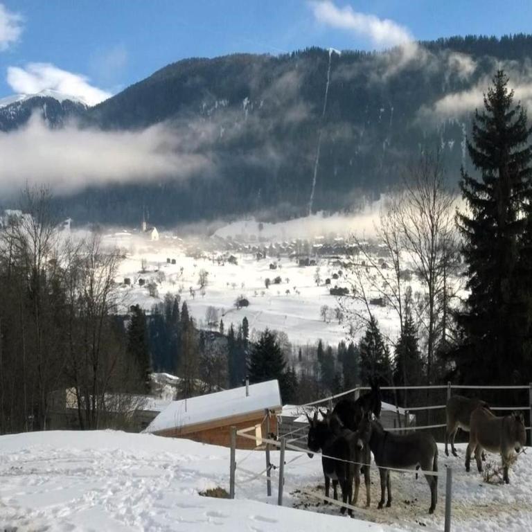 8p Chalet in the mountains near Fiesch ski area - Ferienhaus mit 4 Zimmern - 40