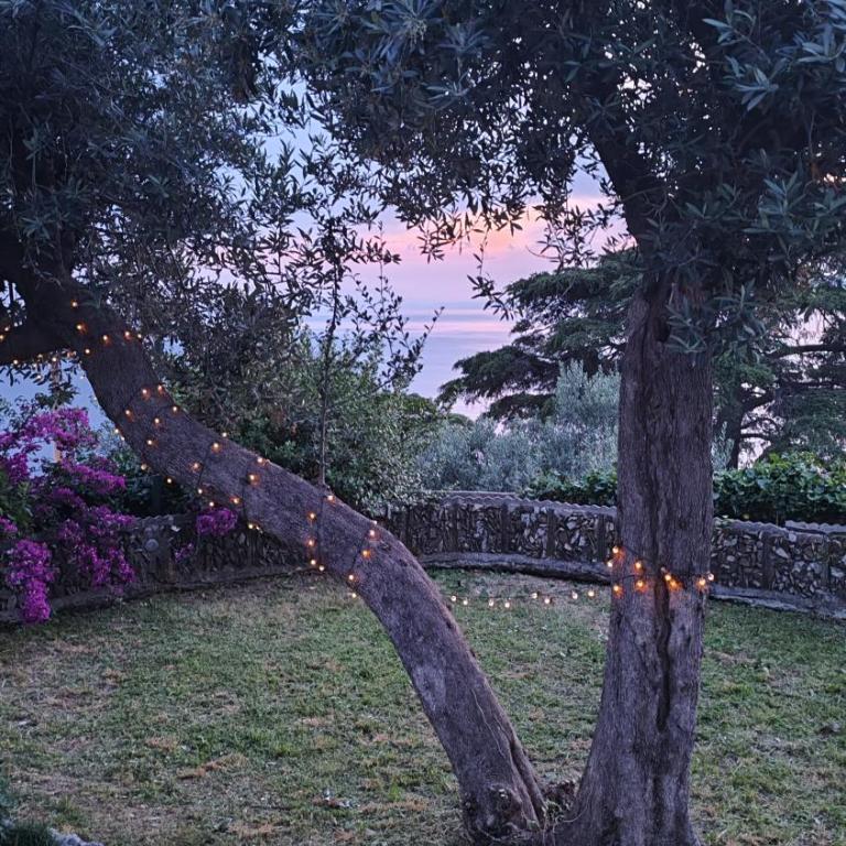 La CONCHIGLIA Bed & Breakfast - Camera Matrimoniale con Terrazza e Vista Mare - 6