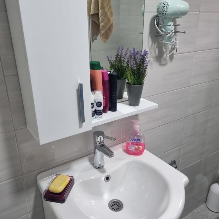 Apartmani Podvisoki - Apartman sa 2 Spavaće Sobe - 10