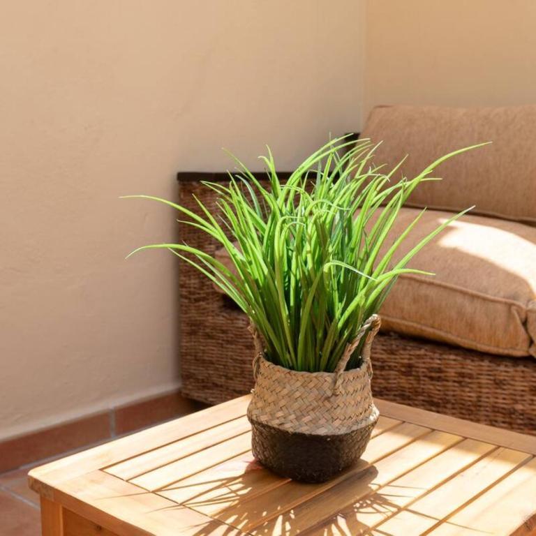 Pass the Keys Peaceful Escape with Pool Sea Mountain Views - Apartamento de 2 dormitorios - 26