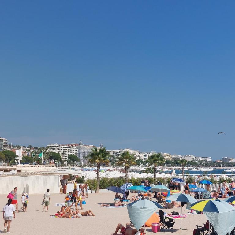 Le Panoramique - Cannes - City Centre - Sea View - Swimming pool - Free Parking - Appartement 1 Chambre - Côté Mer - 23