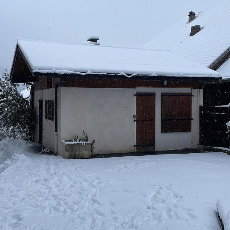 Mazot en Abondance - Maison 1 Chambre - 13