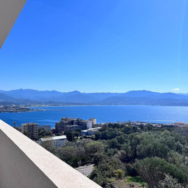 Beautiful Appartment Les terrasses de Torretta room sea view Ajaccio - Appartement 2 Chambres - 11