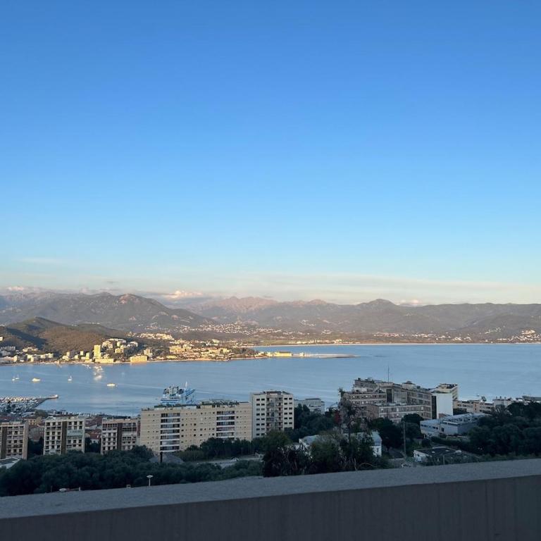 Beautiful Appartment Les terrasses de Torretta room sea view Ajaccio - Appartement 2 Chambres - 21